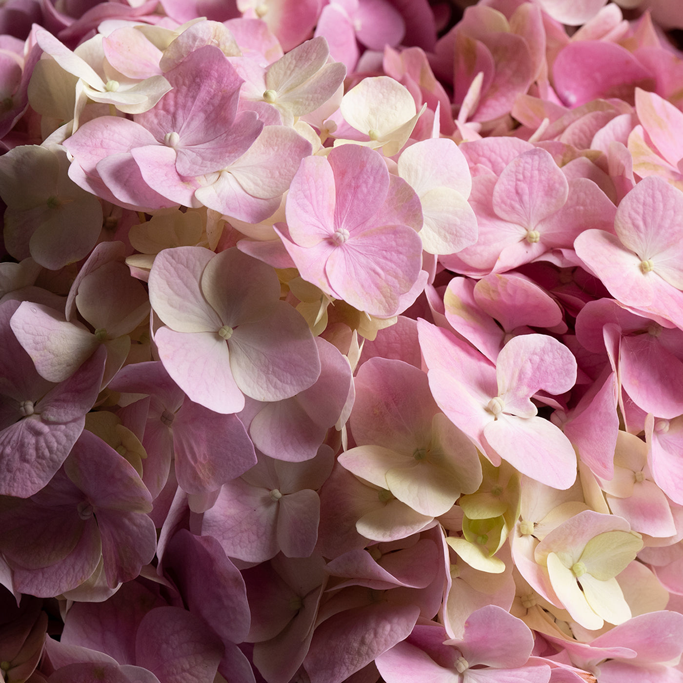 Gifts for Mother’s Day