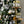 Load image into Gallery viewer, Luxury Christmas Room Mist