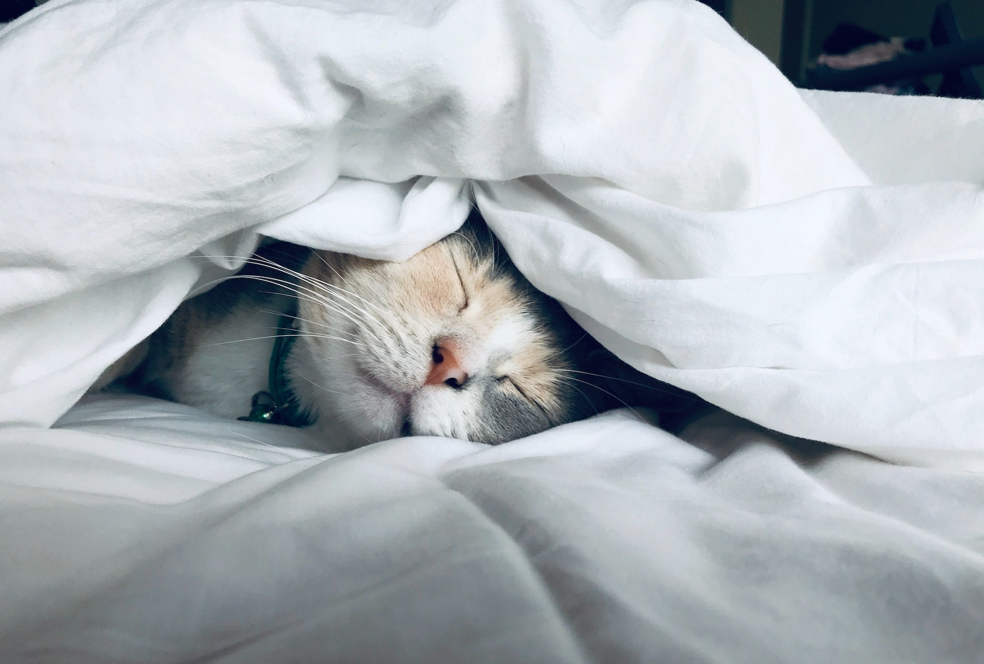 World Sleep Day - 18th March 2023