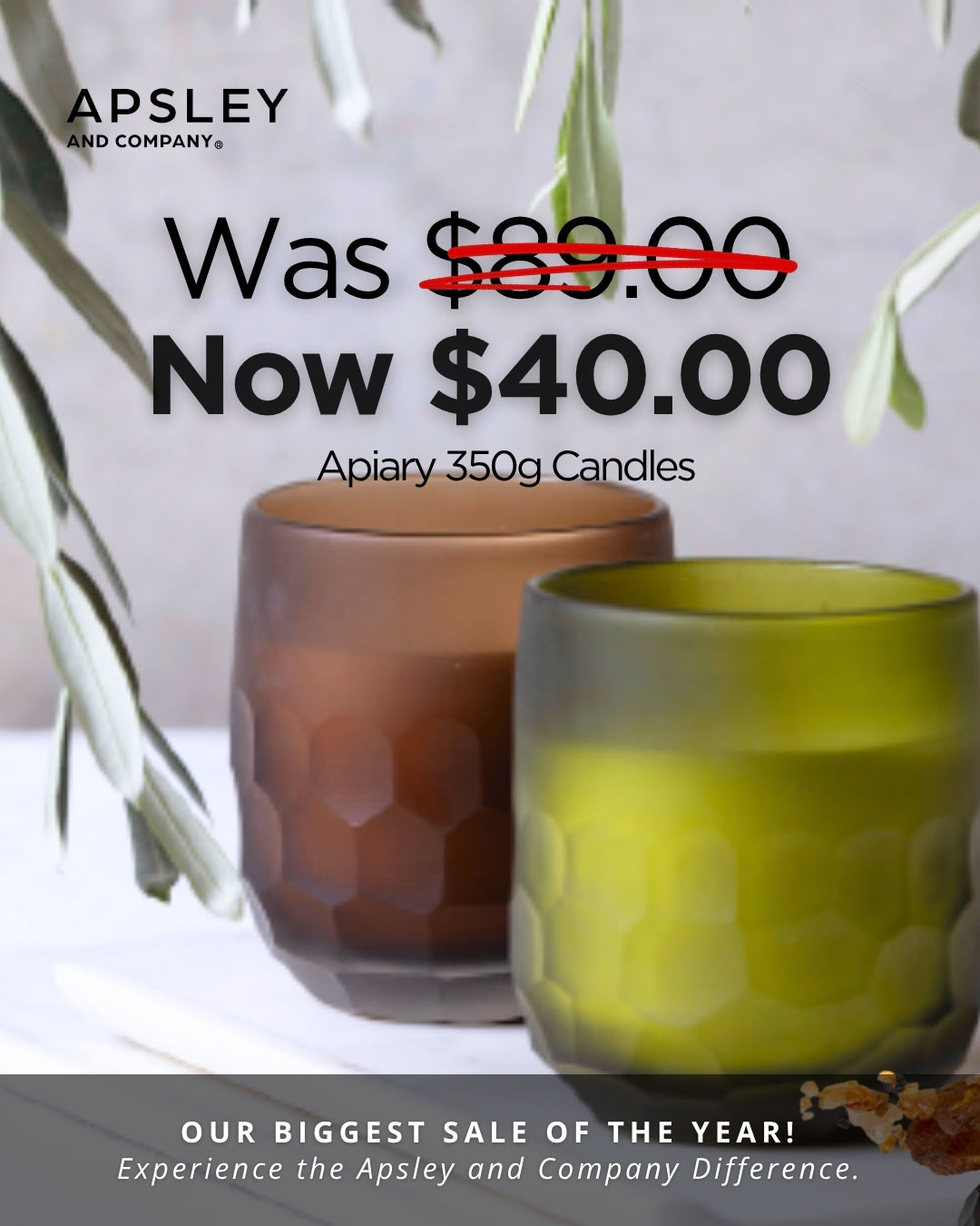 Verdant Aurora Apiary Candle 350g