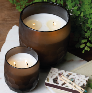 Amber Hinoki Apiary Candle 350g