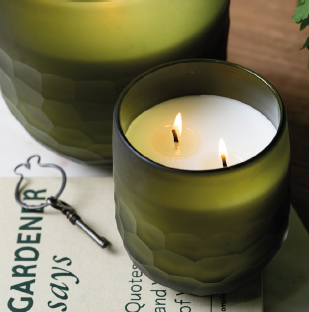 Verdant Aurora Apiary Candle 350g