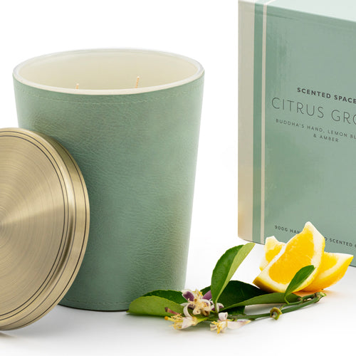 Citrus Grove 900g Leather Candle
