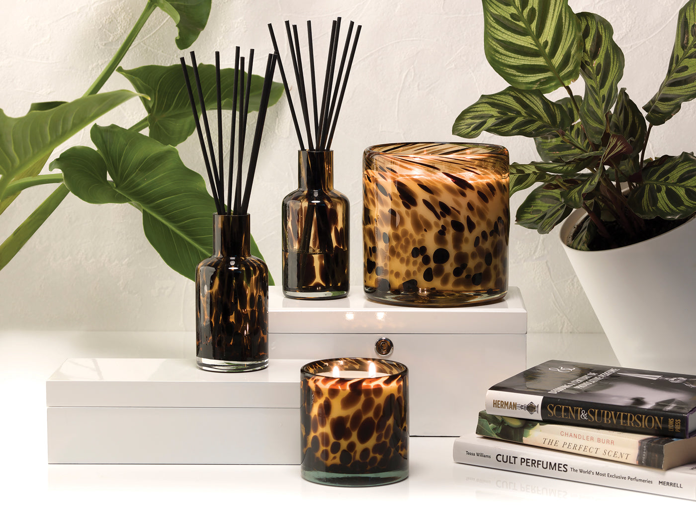 Vesuvius 230ml Luxury Diffuser
